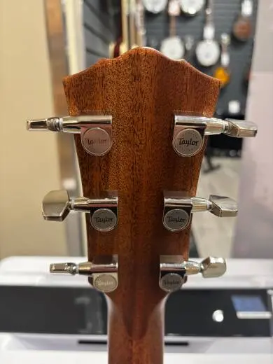 Taylor Guitars - 710E GL 2